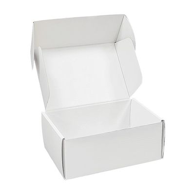 Vêtements pour animaux de compagnie personnalisés Boîte d'emballage de harnais pour chiens Boîte pliante courrier blanc