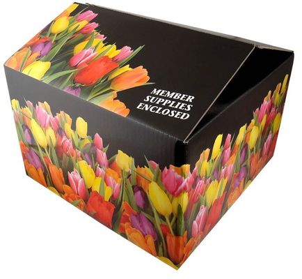 Boîtes de rangement recyclables en carton carton artisanal en carton ondulé
