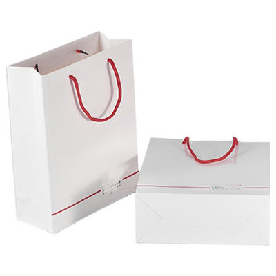 Commande sur commande acceptable Logo de luxe sac de magasinage imprimé pour un beau cadeau de vacances